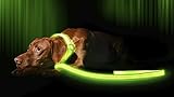 Illumiseen LED-Hundeleine – per USB wiederaufladbar – in 6 Farben & 2 Größen erhältlich – macht Ihren Hund sichtbar und sorgt so für mehr Sicherheit