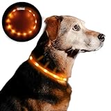 Anicoll LED Leuchthalsband Hunde Halsband USB wiederaufladbar - Längenverstellbarer Haustier Sicherheit Kragen für Hunde und Katzen- 3 Modus 12 Lichte (Orange)