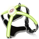 Lospitch Hundegeschirr Led Brustgeschirr für Hunde, Hundegeschirr Beleuchtetes, USB aufladbar and LED Hundeweste Leuchtend + reflektierend