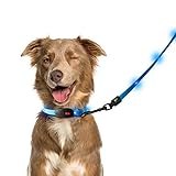 NAMSAN LED Hundeleine mit LED Hundehalsband USB Aufladbar Wasserdicht Sicherheit Hundehalsband-Leine für Hunde, 3 Leuchtmodi 20 Leuchtet (Blau)