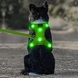 Domi LED-Hundegeschirr, per USB wiederaufladbar, kein Ziehen, Hundegeschirr mit bequemem, gepolstertem Anzug für kleine, mittelgroße und große Hunde, S [Neck:13.5"-18"; Chest:18"- 26"], grün