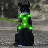 Domi LED-Hundegeschirr, per USB wiederaufladbar, kein Ziehen, Hundegeschirr mit bequemem, gepolstertem Anzug für kleine, mittelgroße und große Hunde, S [Neck:13.5"-18"; Chest:18"- 26"], grün