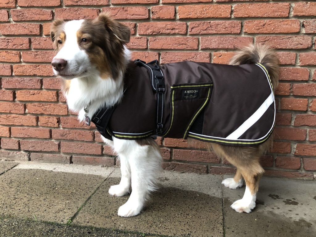 Regendecke - Regenmantel für Hunde - Test - Erfahrungen - hundtastisch.de